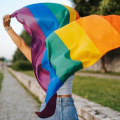 LGBT Youth in Central Missouri: Challenges and Solutions