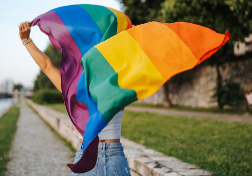 LGBT Youth in Central Missouri: Challenges and Solutions